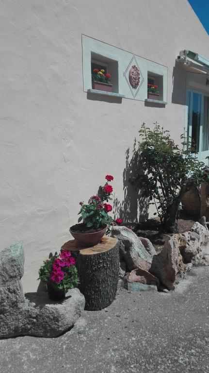 Agriturismo Monte Pino Telti Eksteriør bilde