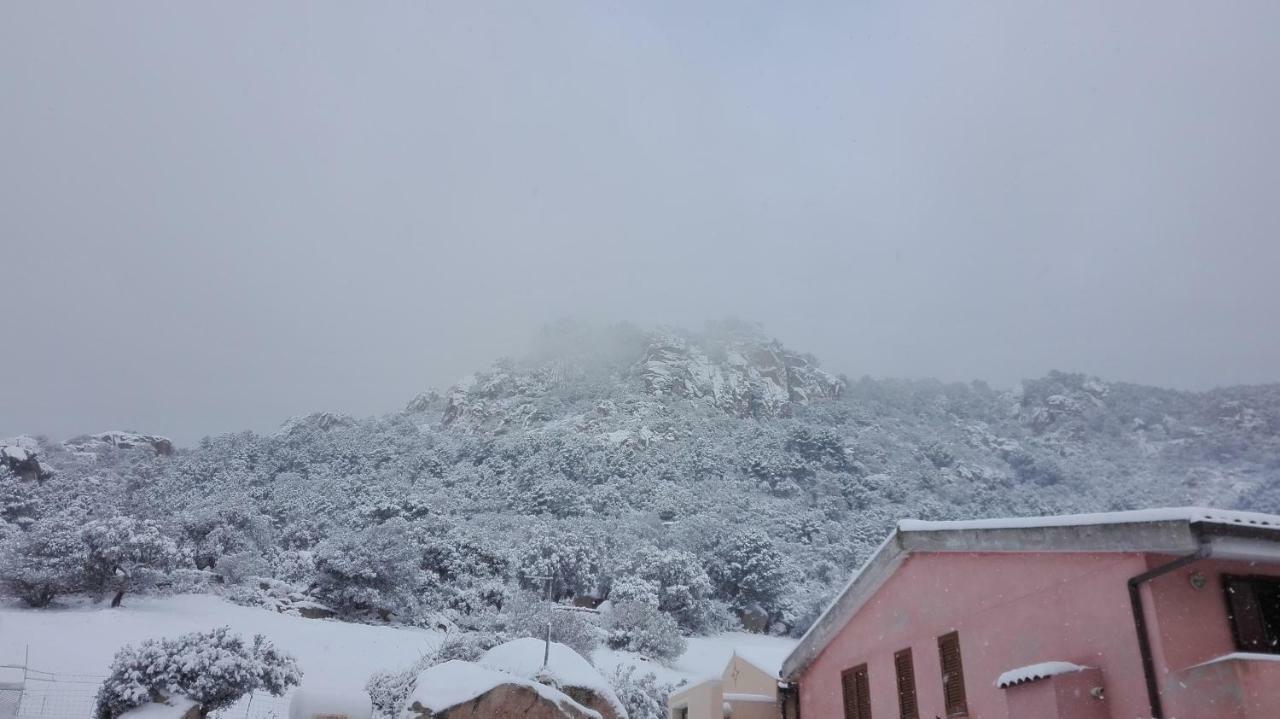 Agriturismo Monte Pino Telti Eksteriør bilde