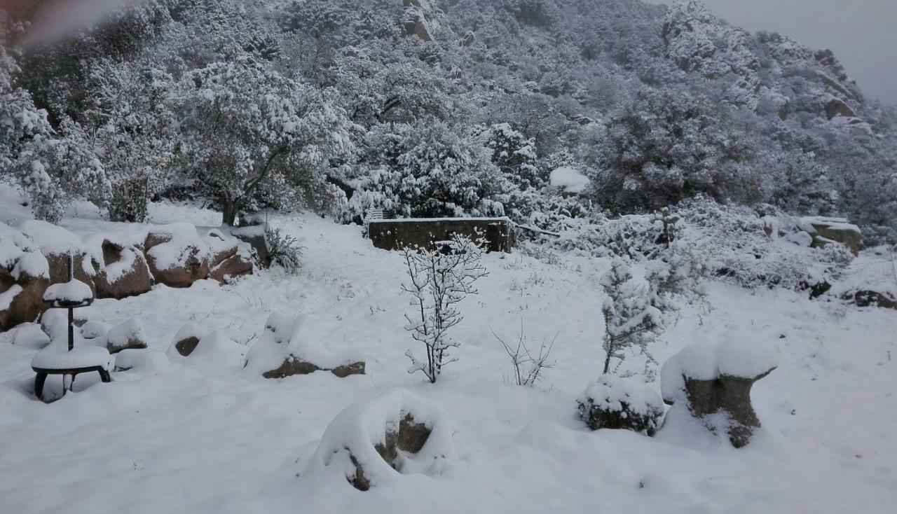 Agriturismo Monte Pino Telti Eksteriør bilde
