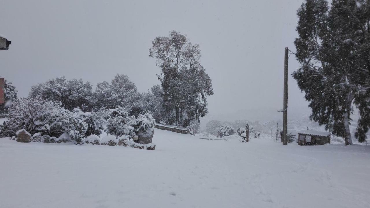 Agriturismo Monte Pino Telti Eksteriør bilde