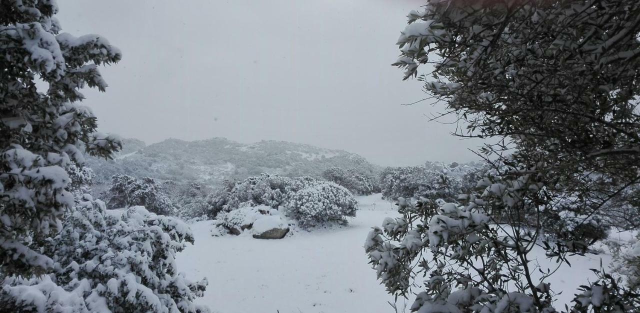 Agriturismo Monte Pino Telti Eksteriør bilde