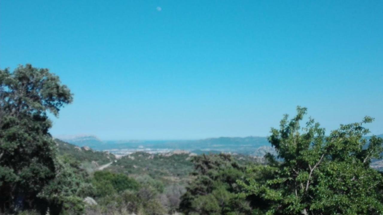Agriturismo Monte Pino Telti Eksteriør bilde