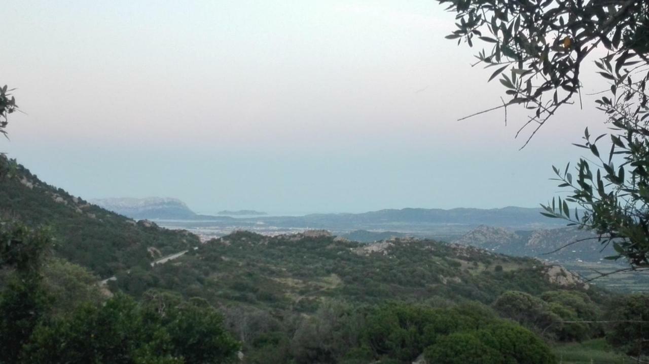 Agriturismo Monte Pino Telti Eksteriør bilde